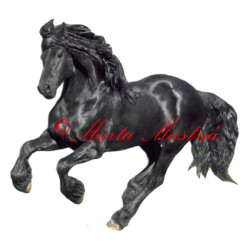 Samolepka fríský kůň Pieter van Diphoorn