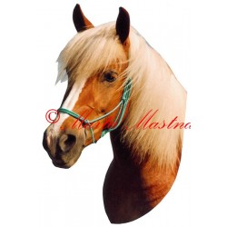 Samolepka hafling Linda, kůň, koně