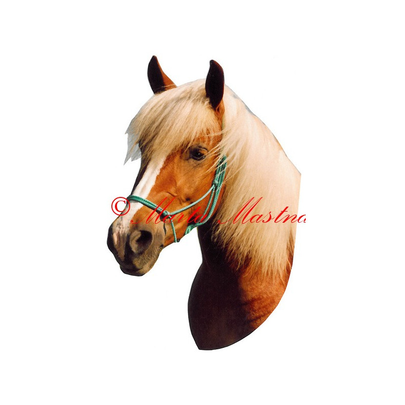 Samolepka hafling Linda