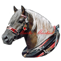 Samolepka chladnokrevník