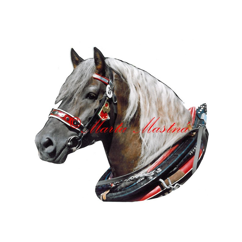 Samolepka chladnokrevník