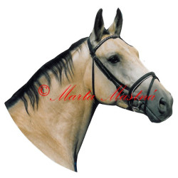 Samolepka kůň Kinský Oktavián