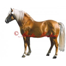 Samolepka hafling Simel, kůň, koně