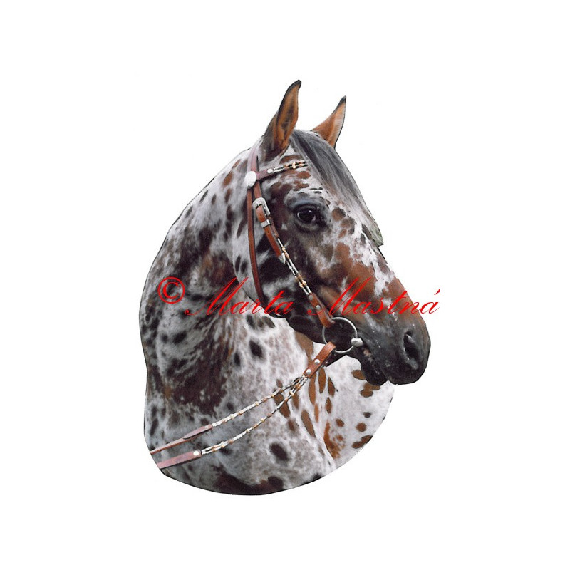 Samolepka appaloosa