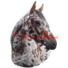 Samolepka appaloosa