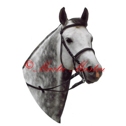 Samolepka teplokrevník