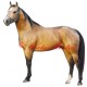 Samolepka quarter horse