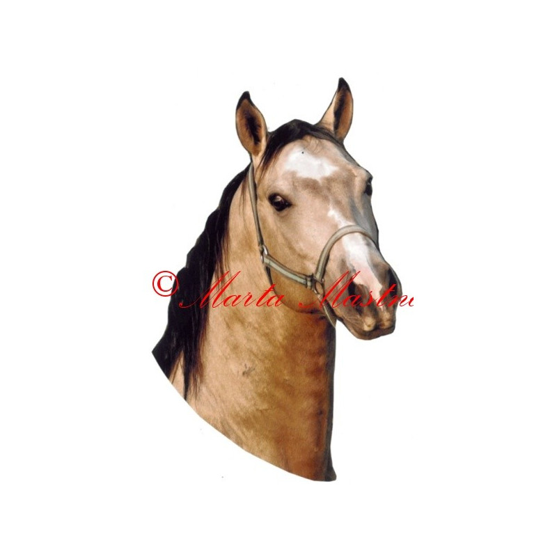 Samolepka quarter horse