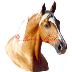 Samolepka kůň isabel