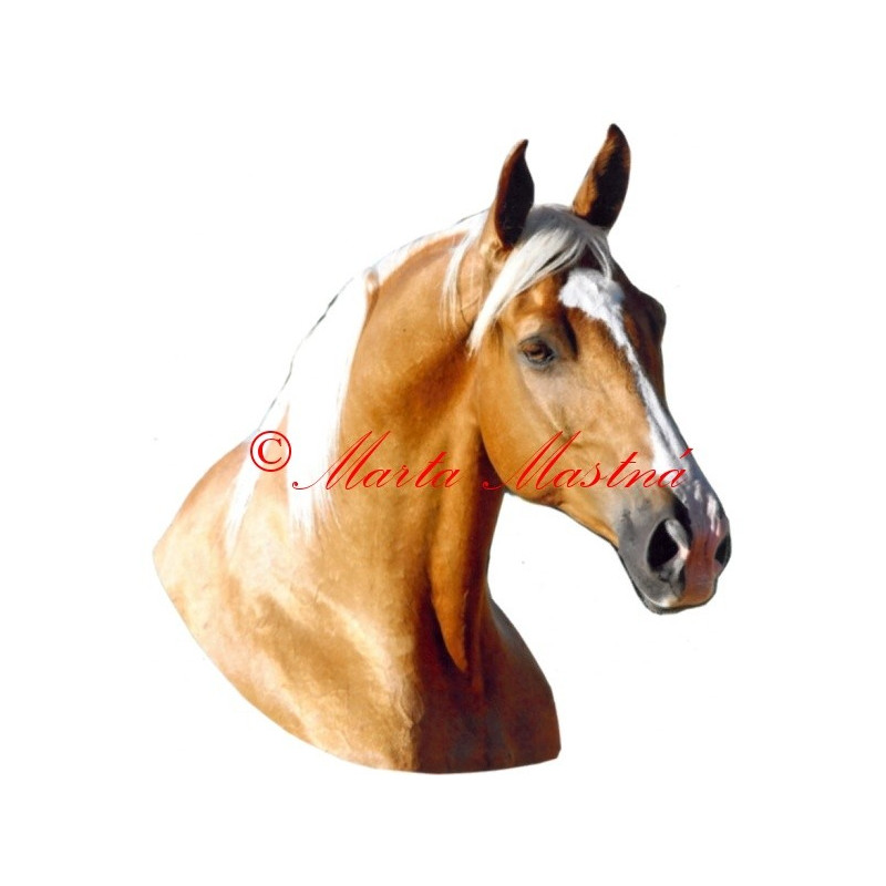 Samolepka kůň isabel