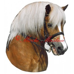 Samolepka hafling, kůň, koně - archiv