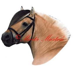 Samolepka fjordský kůň