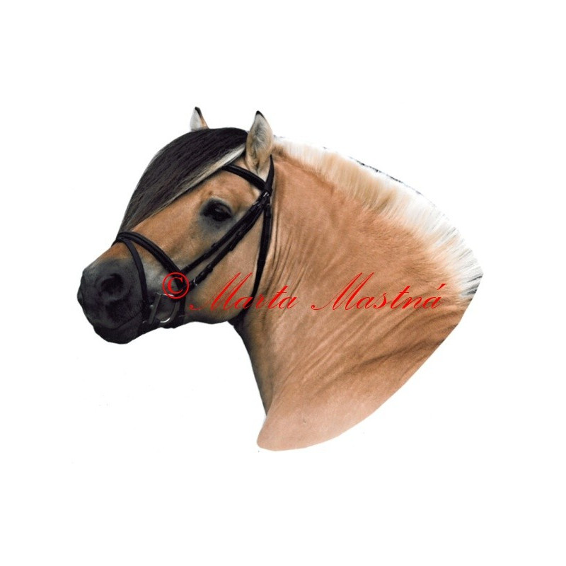 Samolepka fjordský kůň