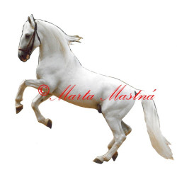 Samolepka kladrubský bělouš