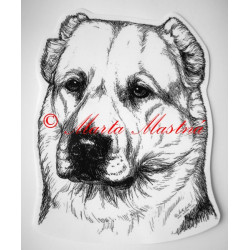 Středoasijský pastevecký pes