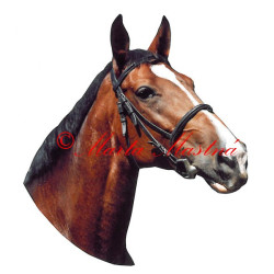 Samolepka teplokrevník