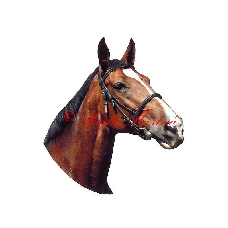 Samolepka teplokrevník