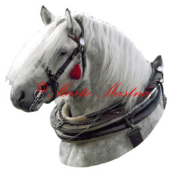 Samolepka chladnokrevník