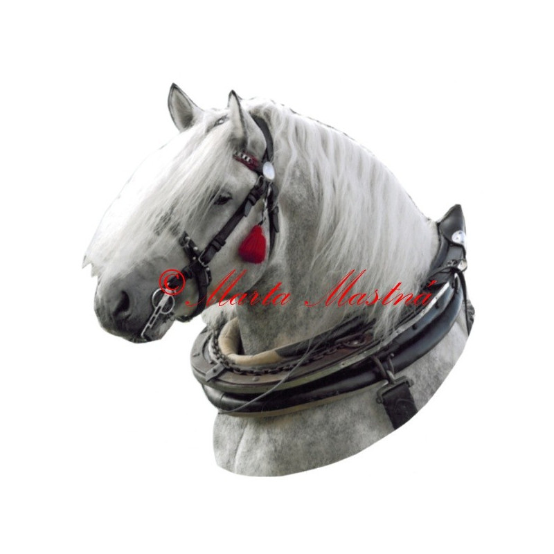 Samolepka chladnokrevník