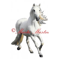 Samolepka andaluský kůň, pura raza, koně