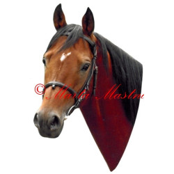 Samolepka anglický plnokrevník