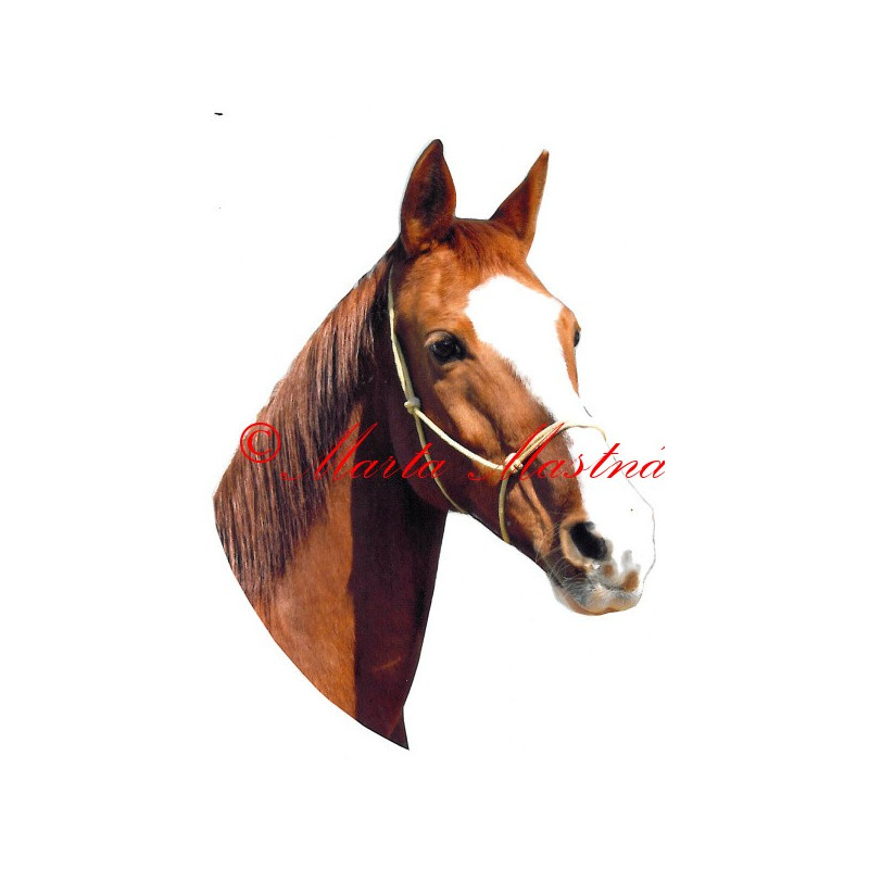 Samolepka teplokrevník