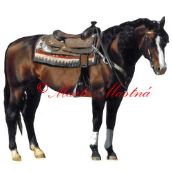 Samolepka quarter horse, western
