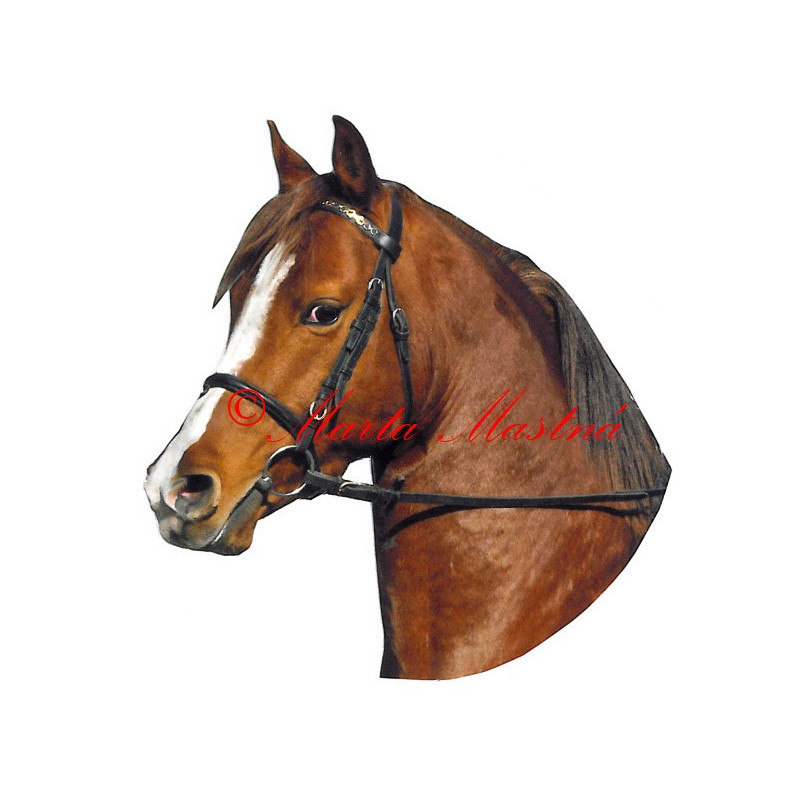 Samolepka welsh part bred