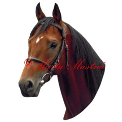 Samolepka anglický plnokrevník