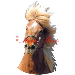Samolepka islandský pony