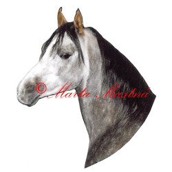 Samolepka arabský plnokrevník