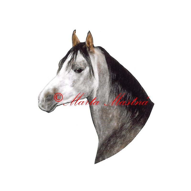 Samolepka arabský plnokrevník