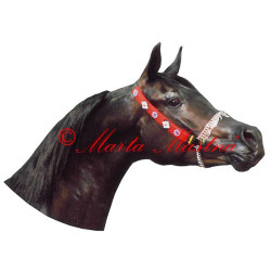 Samolepka arabský plnokrevník