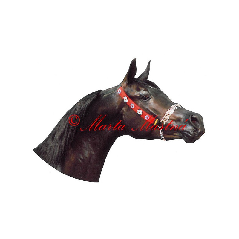 Samolepka arabský plnokrevník