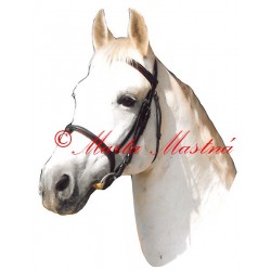 Samolepka český teplokrevník Duelano, kůň, koně