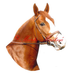 Samolepka kůň Kinský Mailisko