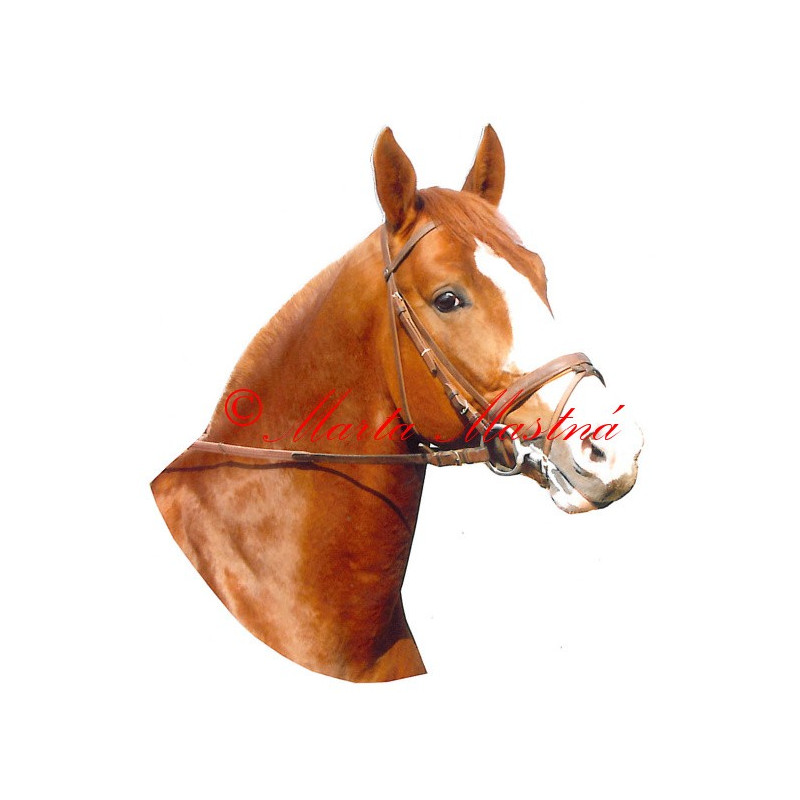 Samolepka kůň Kinský Mailisko