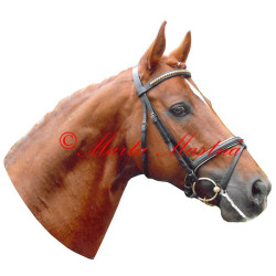 Samolepka teplokrevník