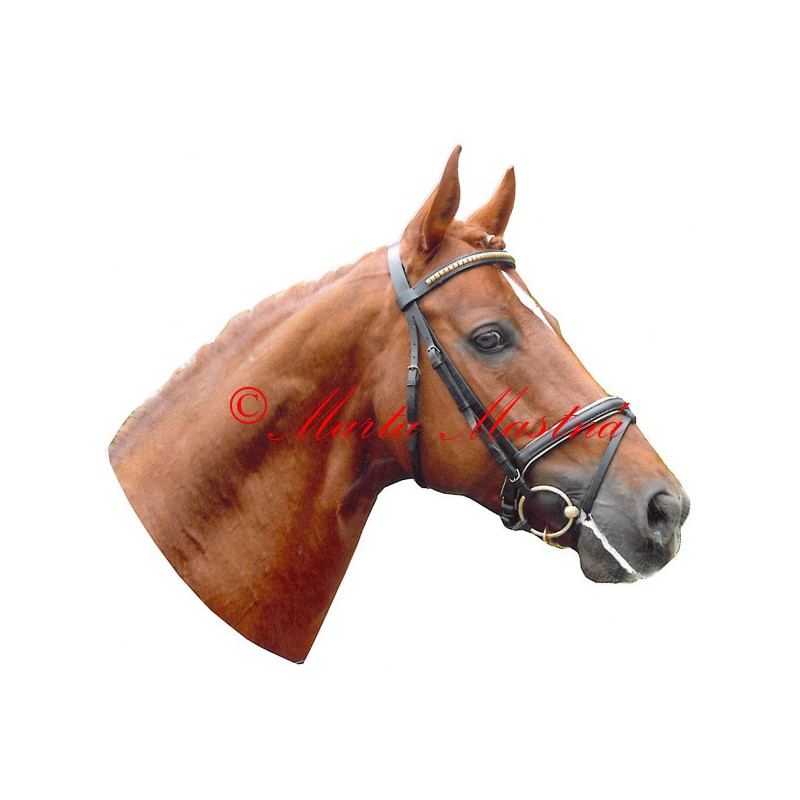 Samolepka teplokrevník