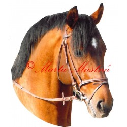 Samolepka kůň teplokrevník, koně - archiv