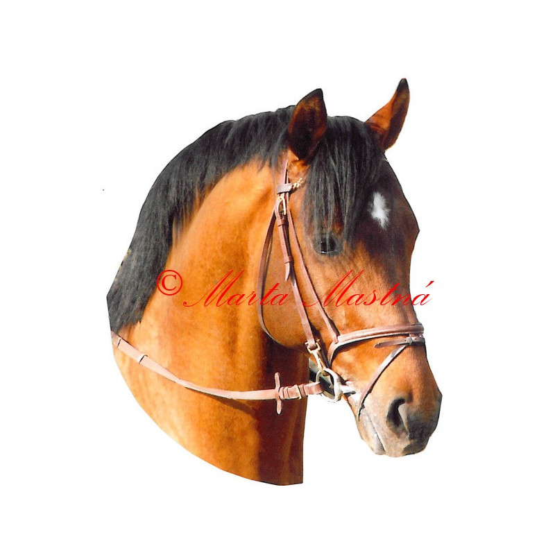 Samolepka teplokrevník