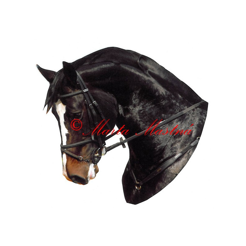 Samolepka teplokrevník