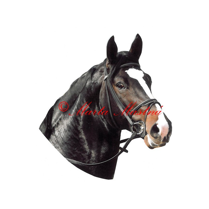 Samolepka teplokrevník