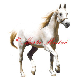 Samolepka arabský kůň Emigrant