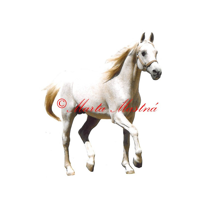 Samolepka arabský kůň Emigrant