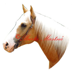 Samolepka quarter horse