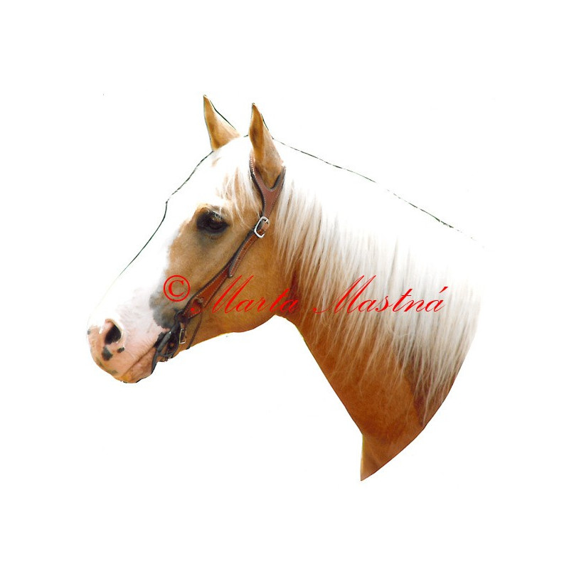 Samolepka quarter horse