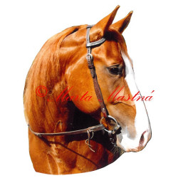 Samolepka quarter horse