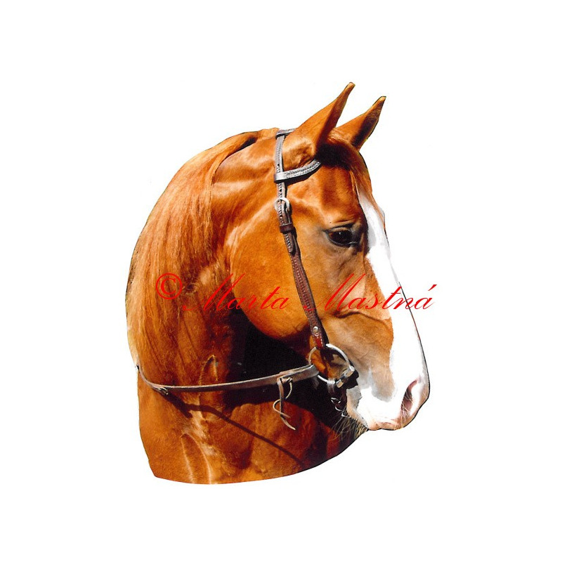 Samolepka quarter horse