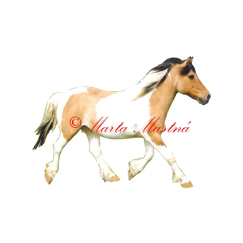 Samolepka hucul, pony